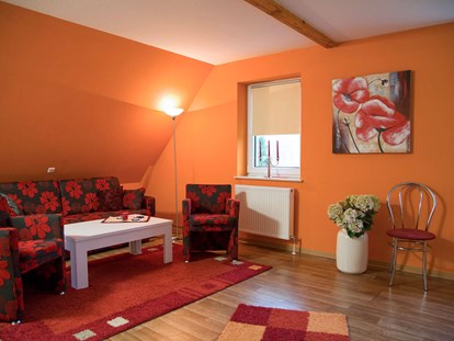 Monteurwohnung - Küche: eigene Küche - Bad Sachsa - Wohnbereich mit ausklappbarem Schlafsofa im Studio - Apartment Haus am Grün
