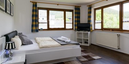 Monteurwohnung - Zimmertyp: Einzelzimmer - Ottenhöfen im Schwarzwald - Zimmer mit Flachbild-TV - Im Tannengrund GmbH