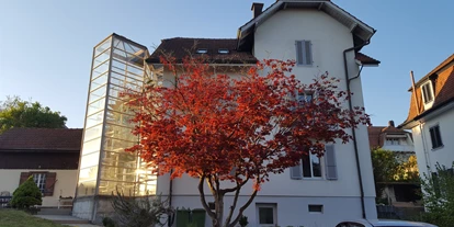 Monteurwohnung - Kühlschrank - PLZ 2540 (Schweiz) - Casa Carmela Apartments