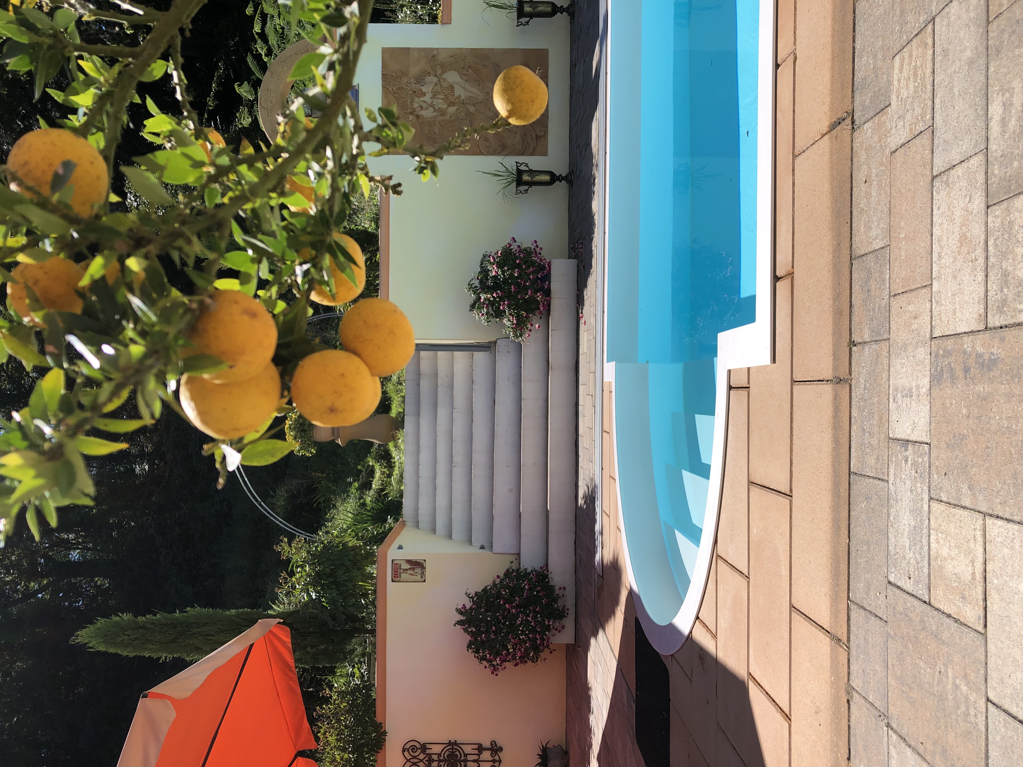 Monteurzimmer - Pool mit spanischer Treppe, Wandreliefs, Grillplatz und Sitzgelegenheit. - Waldpool