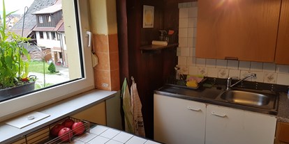 Monteurwohnung - Badezimmer: Gemeinschaftsbad - Schöntal - EG Küche - Markus Hahn