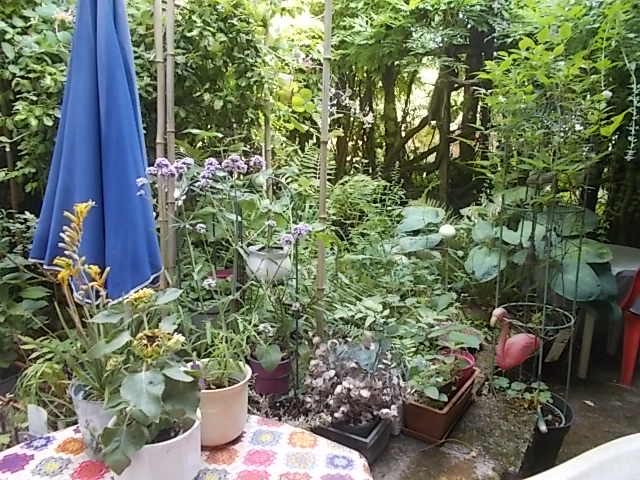 Monteurzimmer - Terrasse im Gästehaus3Eichen...mit Sitzgelegenheit u Raucherecke
Bilder von FeWo 1 über www.gaestehaus3eichen.de - Gästehaus3Eichen,Roschberg, Gästezimmer DaMama,Hofeld