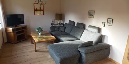 Monteurwohnung - Bettwäsche: Bettwäsche inklusive - Deensen - Wohnzimmer mit Ausziehcouch als Notbett und Fernseher - Monteurzimmer-Hehlen