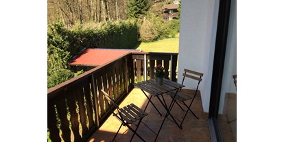 Monteurwohnung - Zimmertyp: Doppelzimmer - Rothenbach - Balkon Ferienwohnung am Ententeich  - Storch Appertements