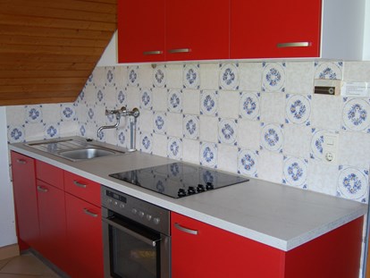 Monteurwohnung - Kühlschrank - PLZ 79256 (Deutschland) - Küche mit Spülmaschine in der Monteurunterkunft in Horben im Schwarzwald - Hanspeterhof