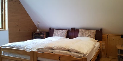 Monteurwohnung - Zimmertyp: Einzelzimmer - Uelitz - Schlafzimmer oben - Ferienhaus Teichhof