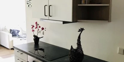 Monteurwohnung - TV - Hinterebenau - Küchenzeile - Appartement Leitner