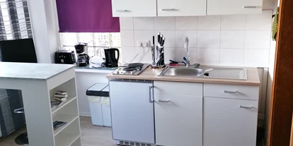 Monteurwohnung - Kühlschrank - Wülperode - Küche 22 qn Wohnung - Schulenberg