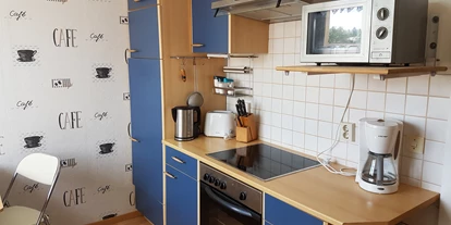 Monteurwohnung - Kühlschrank - Droyßig - Küche - Monteurzimmer/ Wohnung, Ferienwohnung in Jaucha 