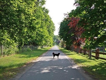 Monteurwohnung - Hund erlaubt - Lüneburger Heide - Hauptzufahrtsstrasse -  Pension am Pilgerweg 