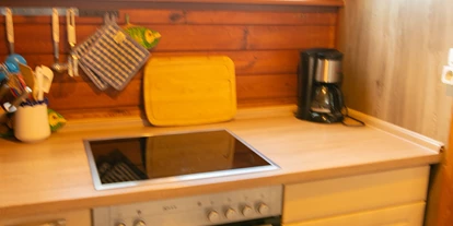 Monteurwohnung - Kühlschrank - Rechtsupweg - Die Küchen ähneln sich von der Einrichtung. Aus Platzgründen kann allerdings nur ein Teil einer Küche abgebildet werden. Abweichungen in den beiden Häusern sind also möglich. - Ferienhäuser Familie Hecht