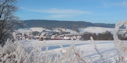 Monteurwohnung - Kühlschrank - Nentershausen (Hersfeld-Rotenburg) - Ferienwohnung & Monteurunterkunft Gauder
