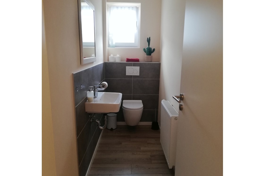 Monteurzimmer: Gäste-WC in der Monteurwohnung Spessart-T-Raum in Triefenstein. - Spessart-T-Raum - Monteurzimmer