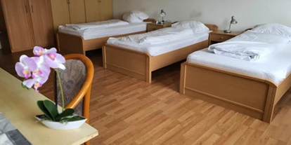 Monteurwohnung - Kühlschrank - Braunschweig - Pension Salzgitter