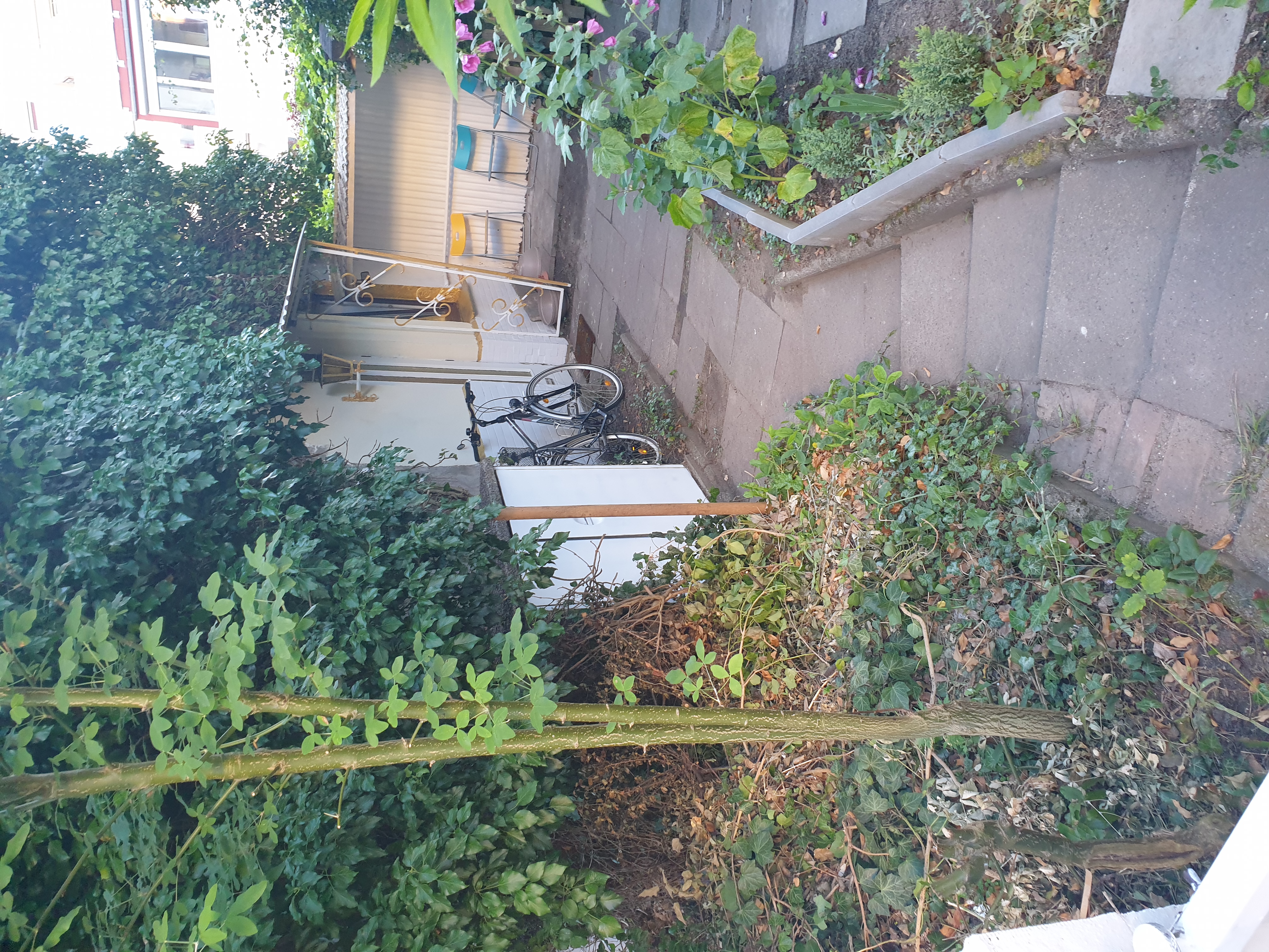 Monteurwohnung - TV - Lübeck - Mias Ferienhaus