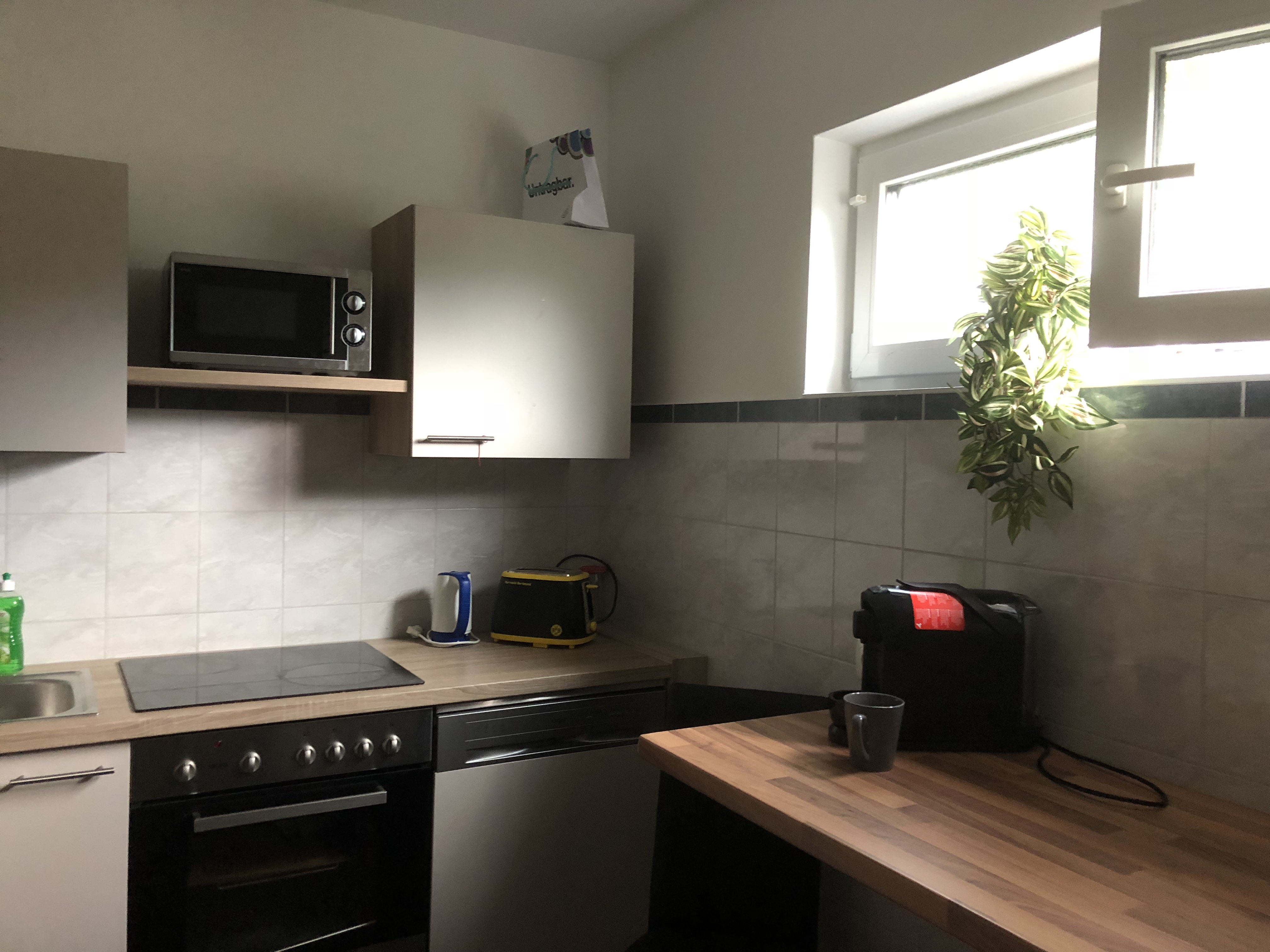 Monteurwohnung - Art der Unterkunft: Gästezimmer - Österreich - Rabl