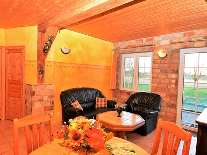 Monteurwohnung - TV - Deutschland - Couch - Fischerhof Müritz