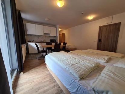 Monteurwohnung - Balkon - Österreich - Triangle Management GmbH
