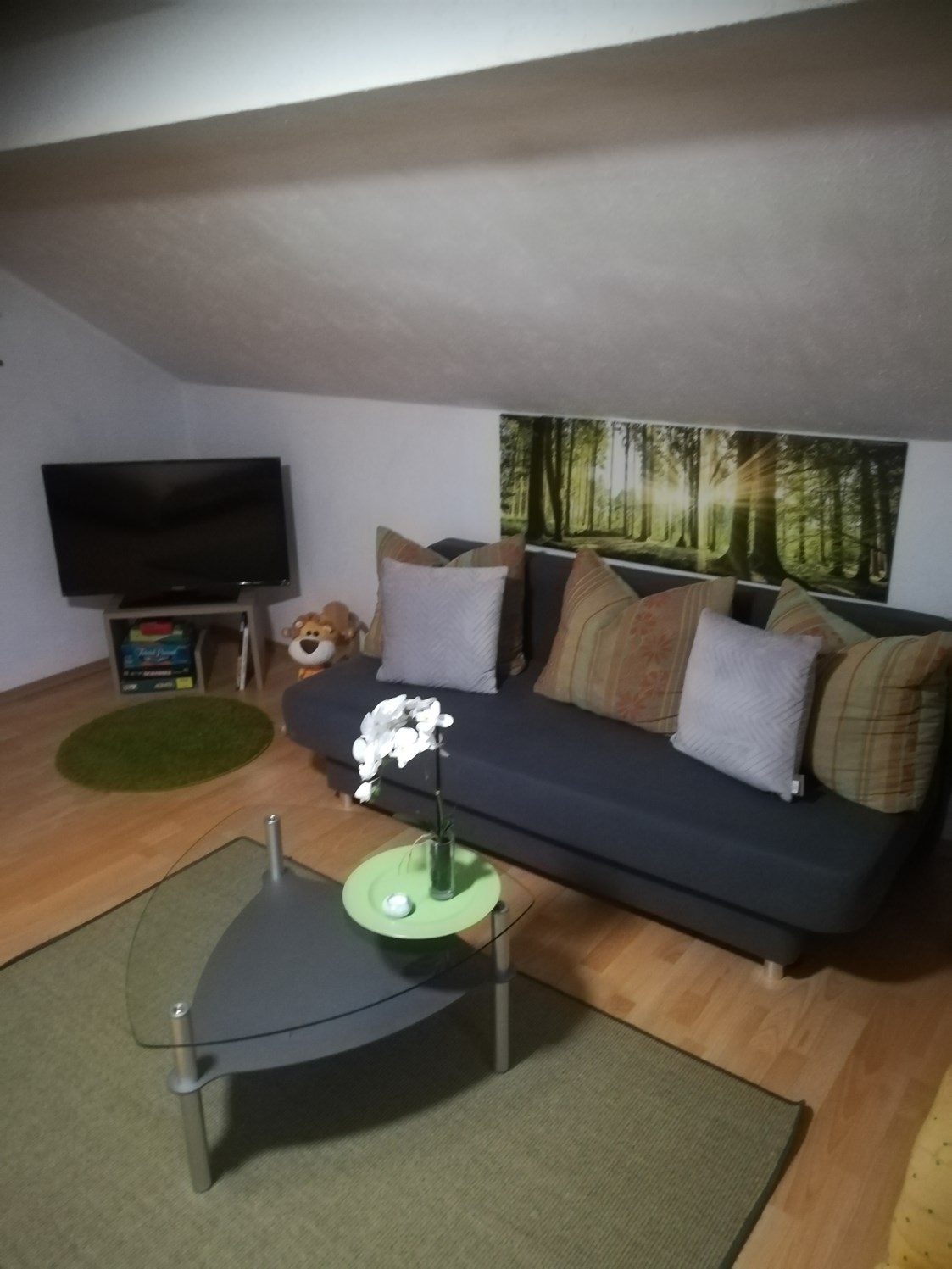 Monteurzimmer: Wohnzimmer mit Couch und Fernseher - Horst