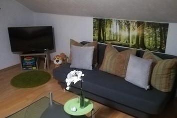 Monteurzimmer: Wohnzimmer mit Couch und Fernseher - horst