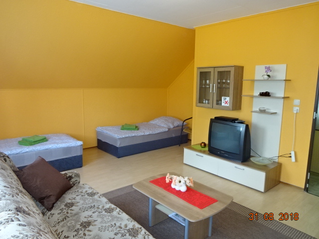 Monteurwohnung - Kühlschrank - Sachsen-Anhalt - Wohnzimmer - Ferienwohnung Kretschmer