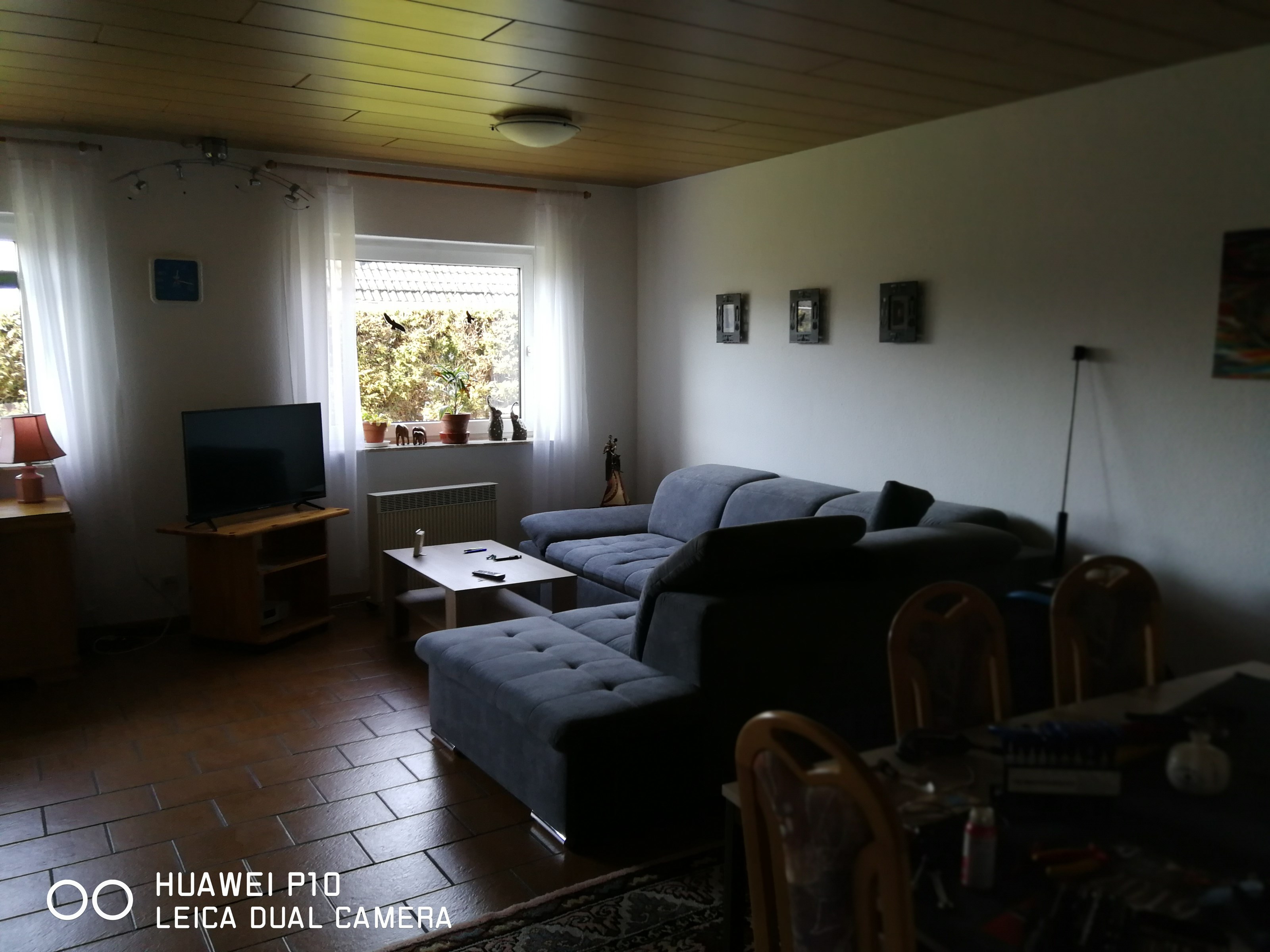 Monteurwohnung - Zimmertyp: Mehrbettzimmer - Hessen - Großes Wohn- Schlafzimmer - Albatros