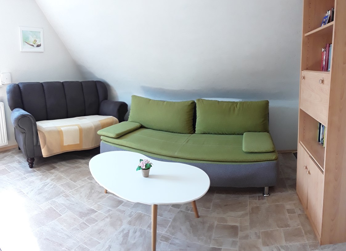 Monteurzimmer: Wohnzimmer mit kleiner Sitzcouch und Schlafsofa (hier finden 2 Personen Platz) - Ferienwohnung-Fulda
