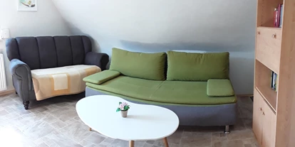 Monteurwohnung - PLZ 36043 (Deutschland) - Wohnzimmer mit kleiner Sitzcouch und Schlafsofa (hier finden 2 Personen Platz) - Ferienwohnung-Fulda