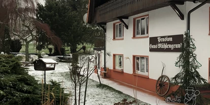 Monteurwohnung - Kühlschrank - Deutschland - Monteurzimmer in der Pension "Mühlengrund"