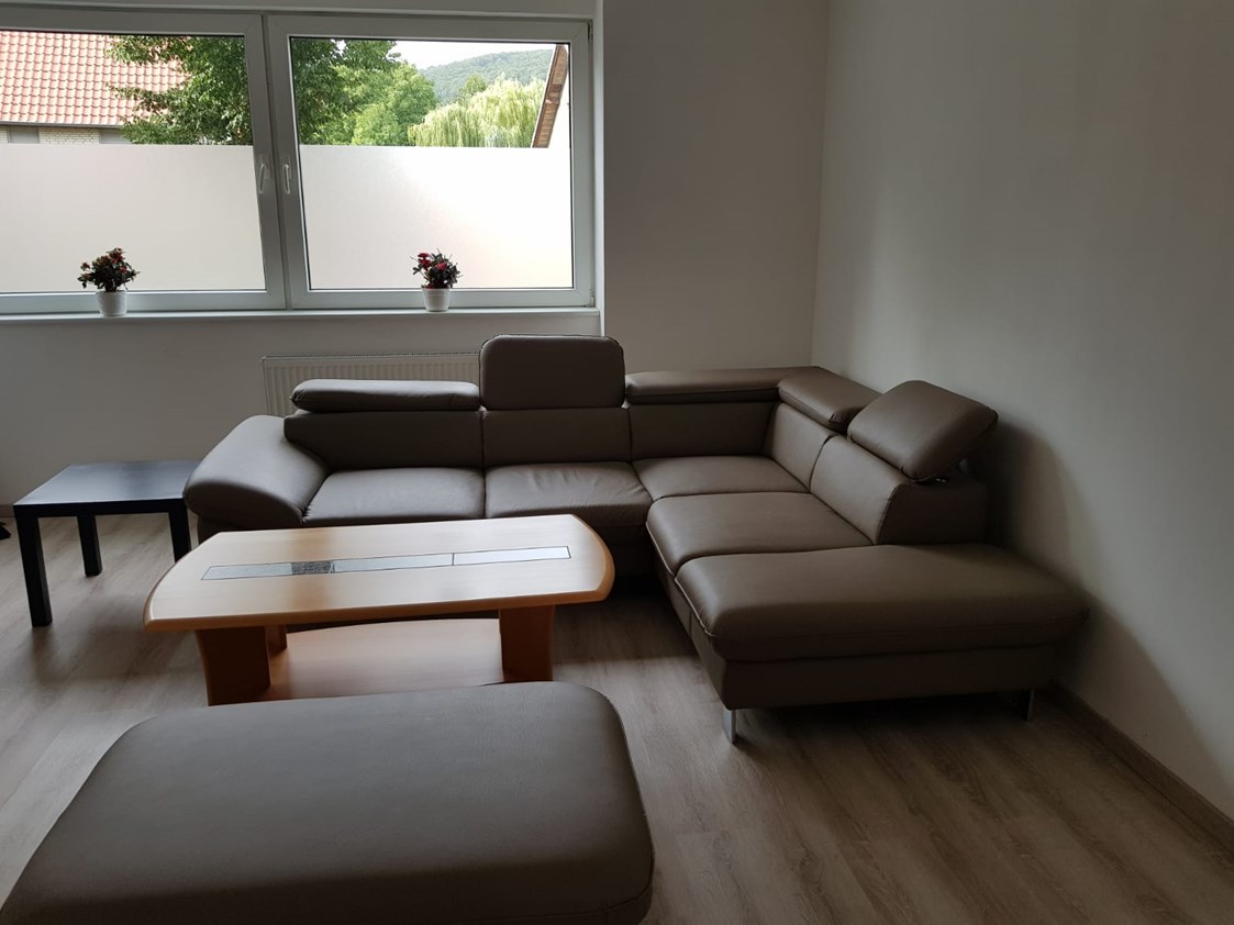 Monteurzimmer: Wohnzimmer mit Couch in der Monteurwohnung in Delligsen. - Monteurzimmer Delligsen