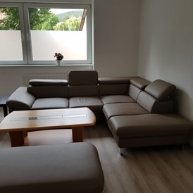 Monteurzimmer: Wohnzimmer mit Couch in der Monteurwohnung in Delligsen. - Monteurzimmer Delligsen