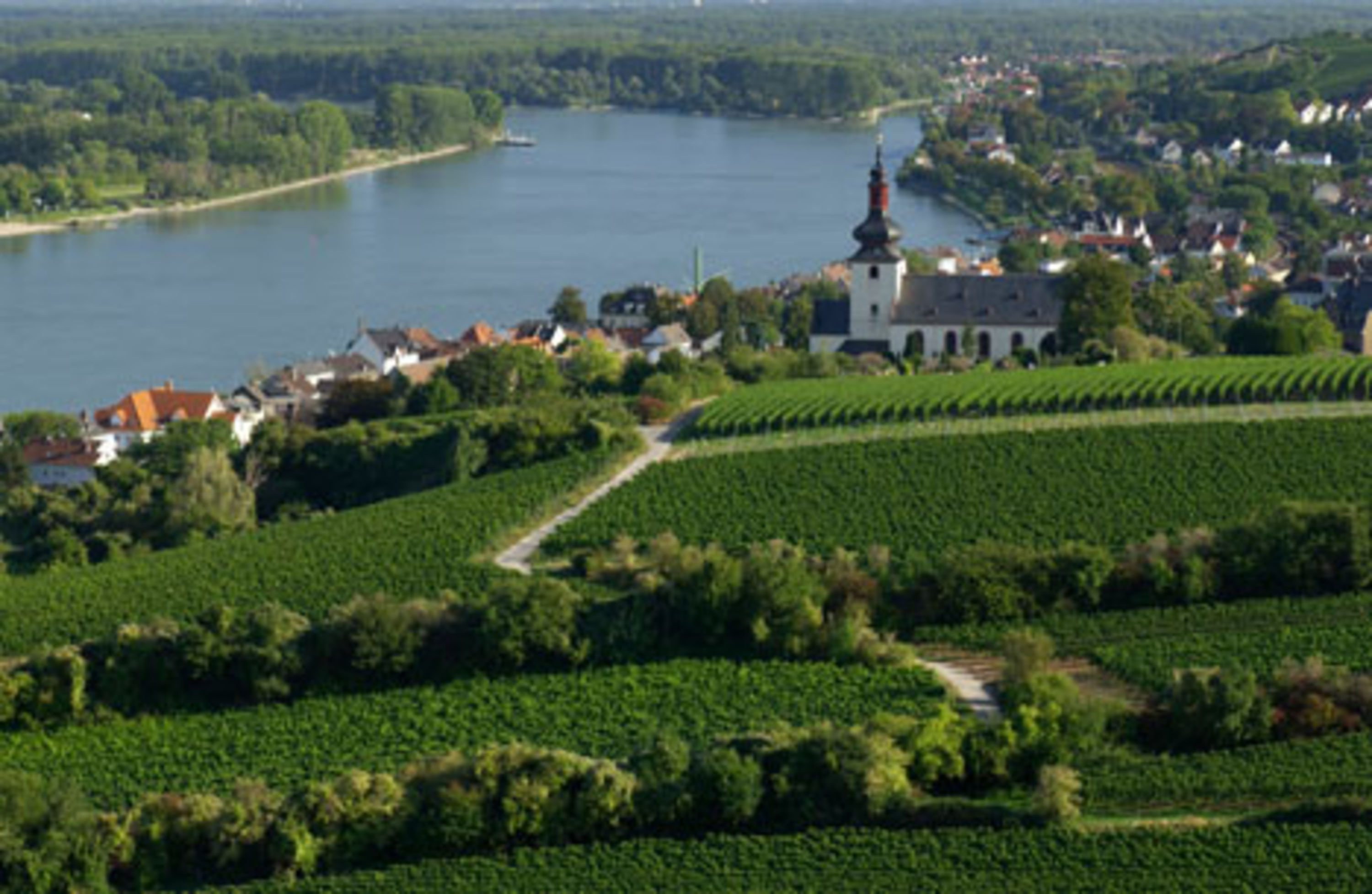 Monteurwohnung - PLZ 55129 (Deutschland) - J&P Brunetti Zimmervermietung Uferstr. 9 Trebur