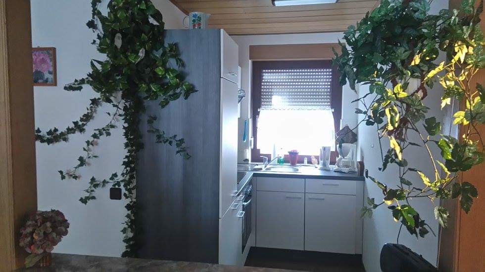 Monteurwohnung - Zimmertyp: Doppelzimmer - Thüringen - Küche Erdgeschoss, neu - Ferienhaus_sonnenschein 