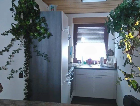 Monteurzimmer: Küche Erdgeschoss, neu - Ferienhaus_sonnenschein