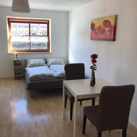 Monteurzimmer: Wohnen/Schlafen - Apartment Höllmüller