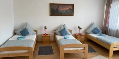 Monteurwohnung - Badezimmer: Gemeinschaftsbad - Wiesbaden - Monteurzimmer mit 4 Einzelbetten - Monteurzimmer Clinton