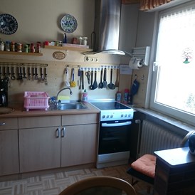 Monteurzimmer: Küche Monteurwohnung - Ferienwohnung Pulst