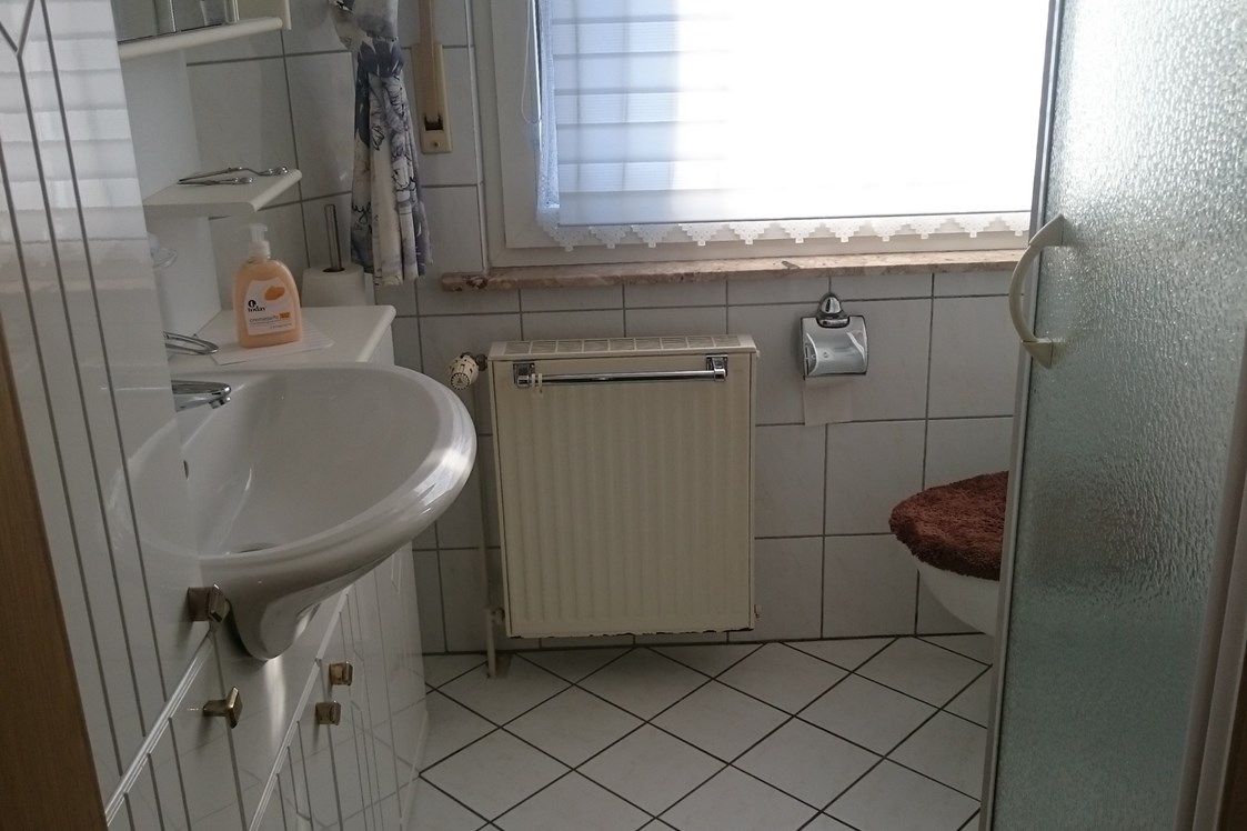 Monteurzimmer: Bad mit Dusche und WC - Ferienwohnung Pulst