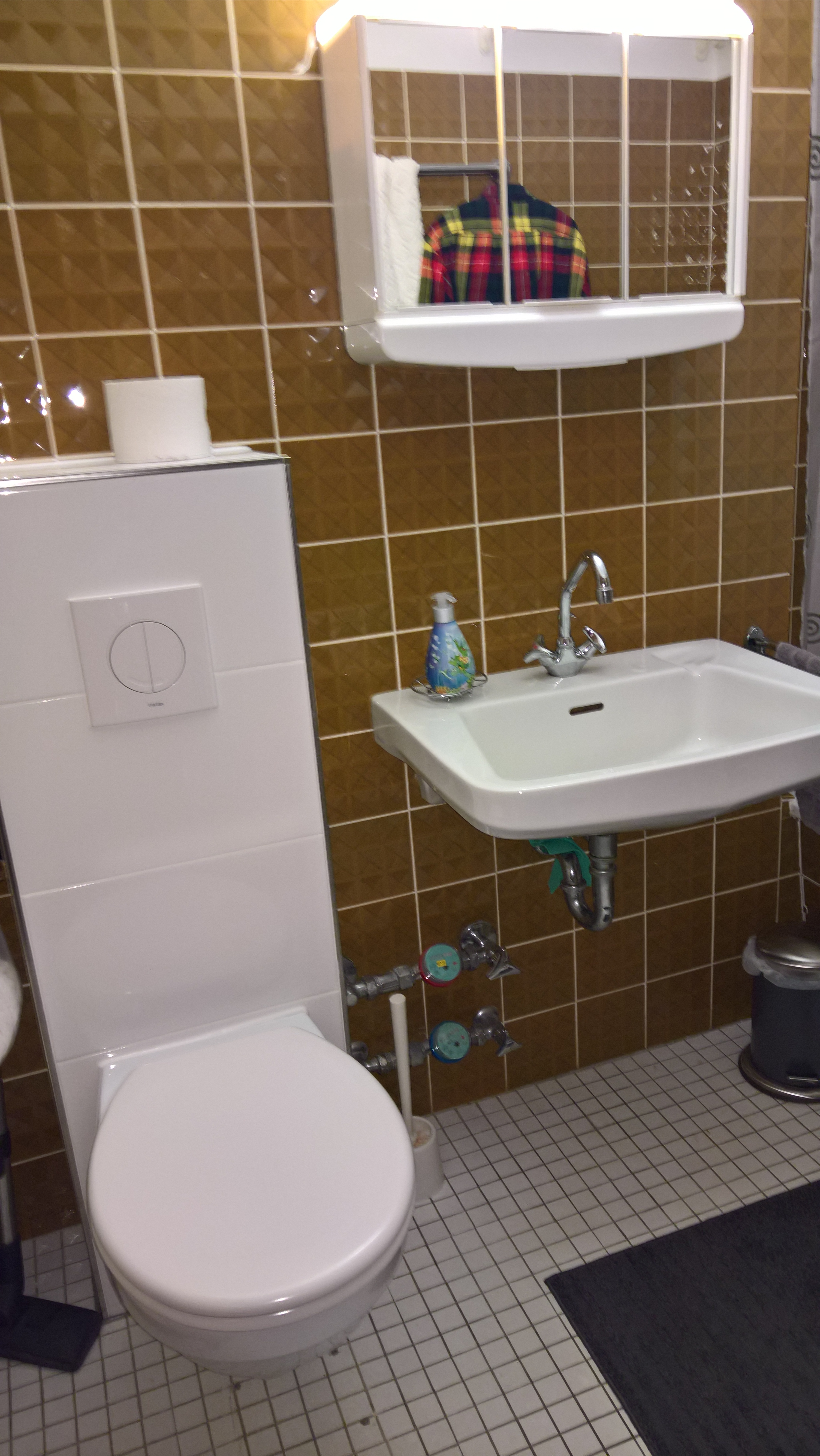 Monteurzimmer: WC im Badezimmer mit Duschwanne - Hirschen Schönwald App. 240