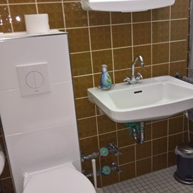 Monteurzimmer: WC im Badezimmer mit Duschwanne - Hirschen Schönwald App. 240