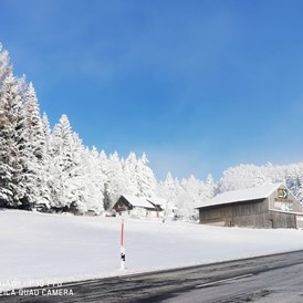 Monteurzimmer: Winter Atmosphäre - Aparthotel Zwiesel - Bayerischer Wald - Weber Nada