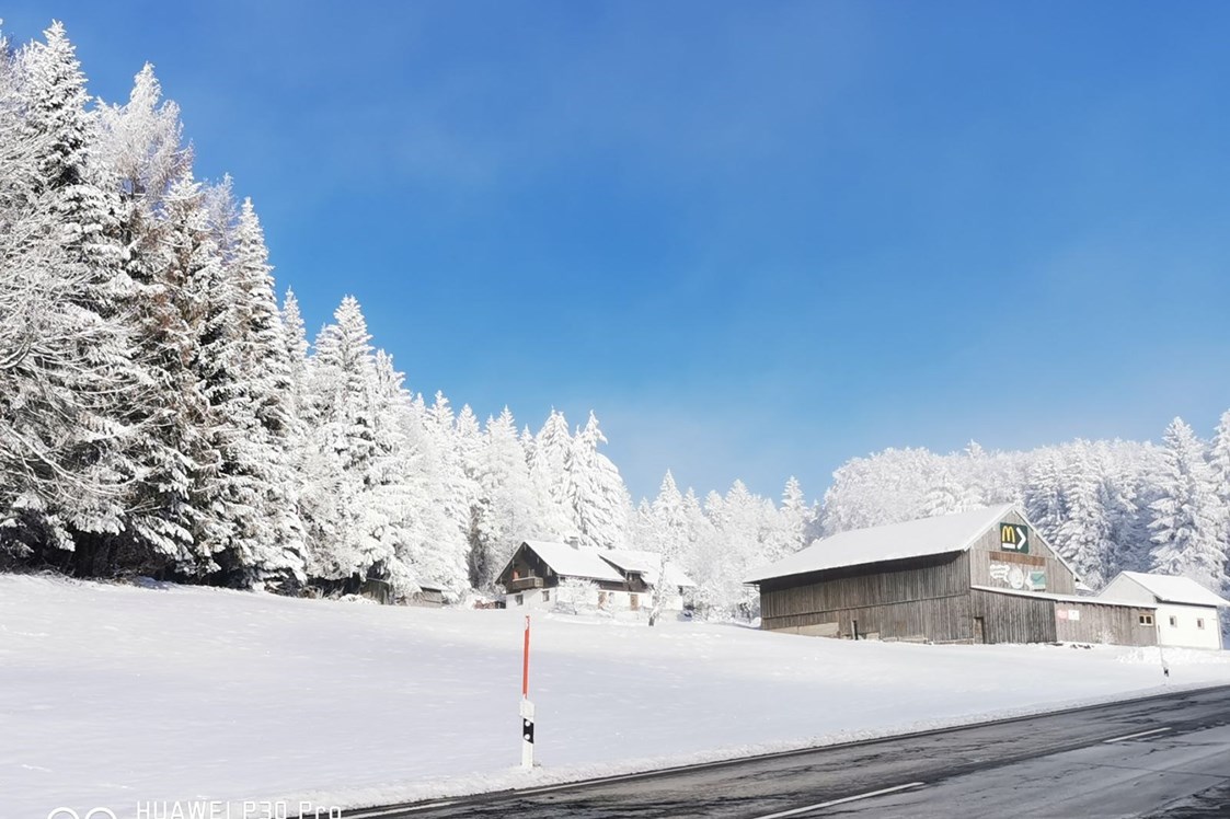Monteurzimmer: Winter Atmosphäre - Aparthotel Zwiesel - Bayerischer Wald - Weber Nada