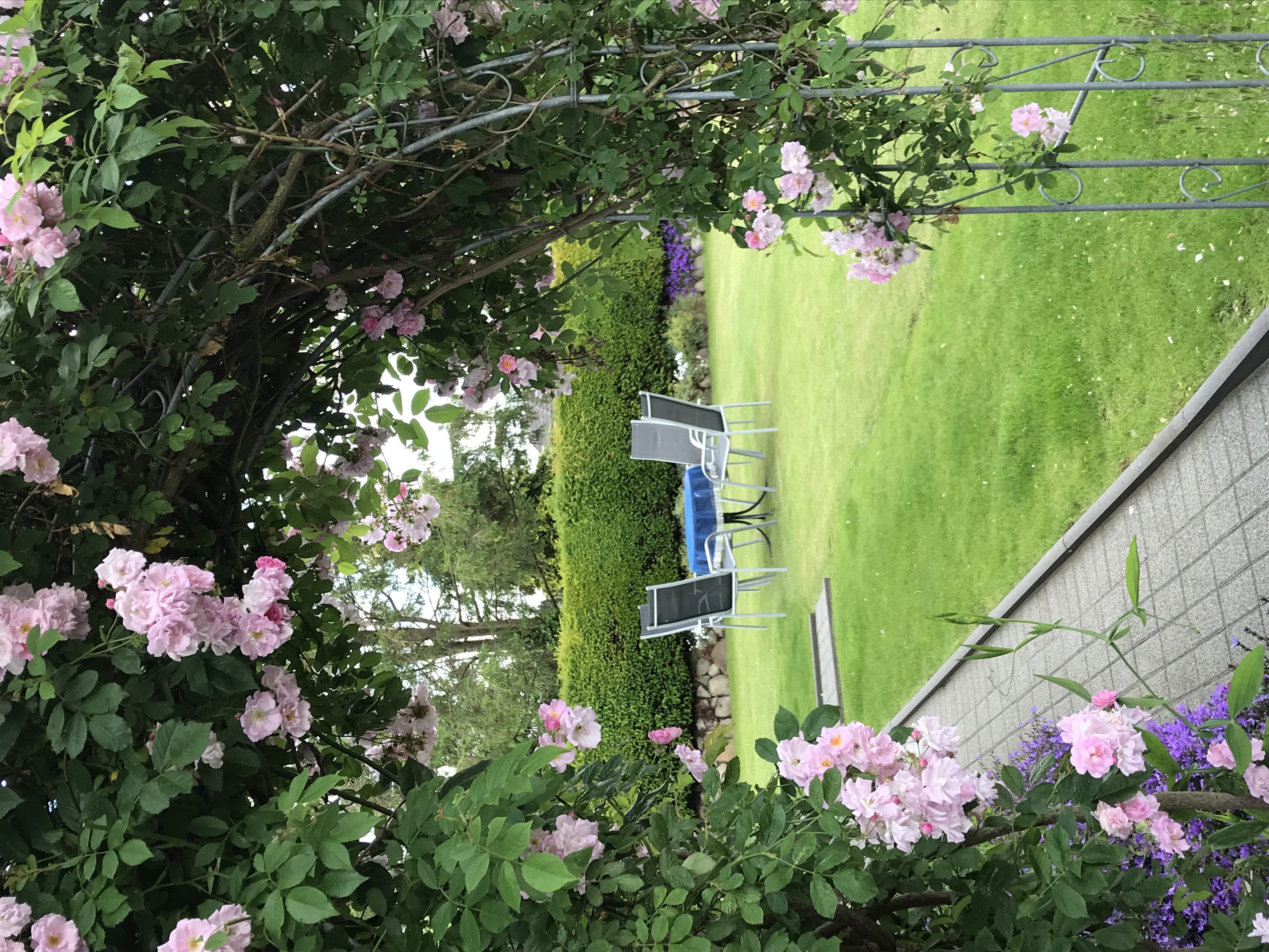 Monteurzimmer: Sitzmöglichkeit auch im Garten - "Villa Düne" für Handwerker und Reisende 