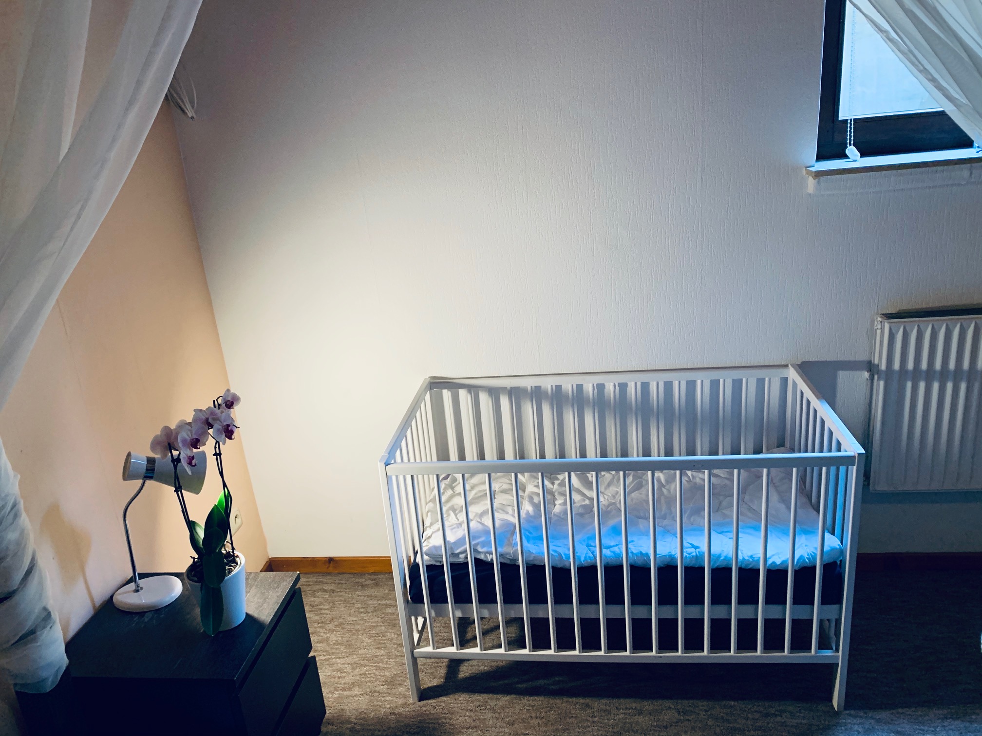 Monteurzimmer: Ferienwohnung MAJA