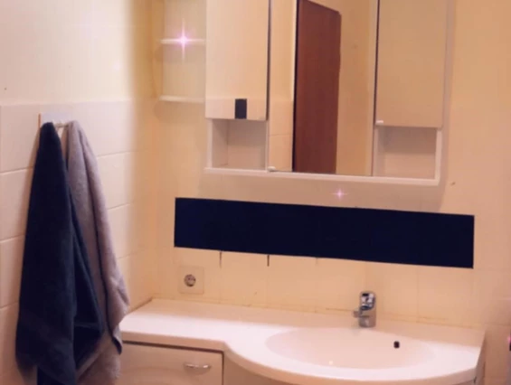 Monteurzimmer: Waschbecken - Zolic Edvina