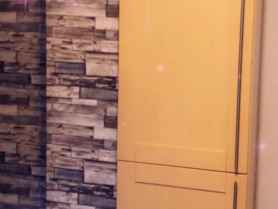 Monteurzimmer: Kühlschrank - Zolic Edvina