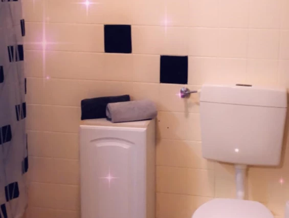 Monteurzimmer: WC - Zolic Edvina