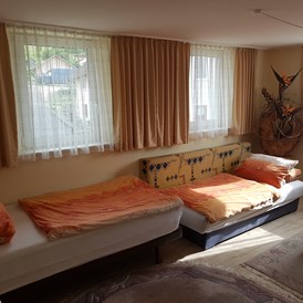 Monteurzimmer: Zimmer 2 mit Einzelbett und Schlafsofa - Peter Monteurzimmer Krassa