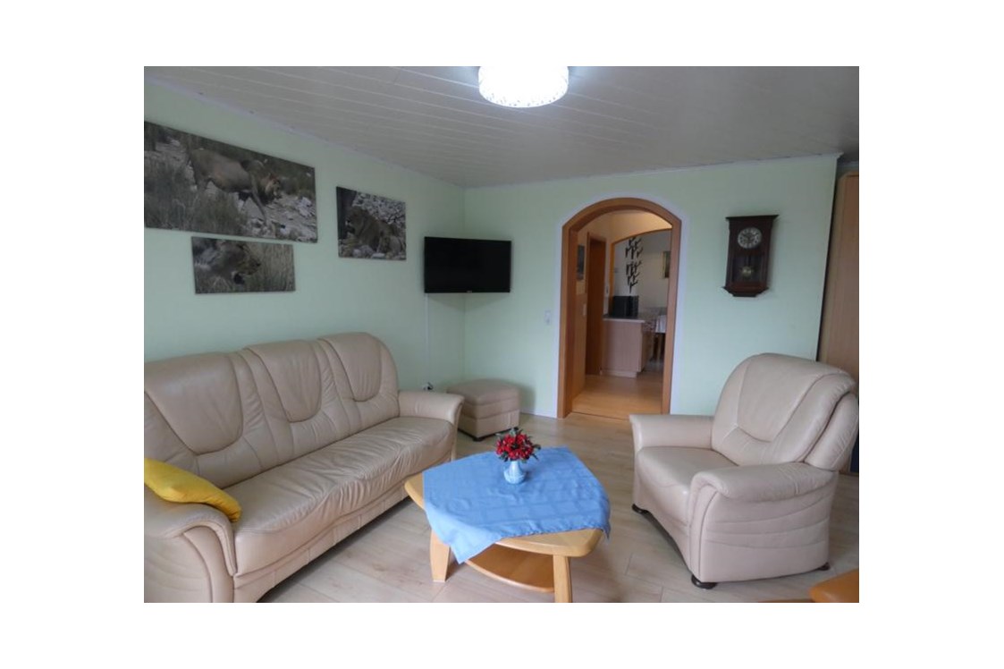 Monteurzimmer: Wohnbereich mit Flachbildschirm - Familie Hoeß - hat Ihre Ferienwohnung im schönen Taubertal