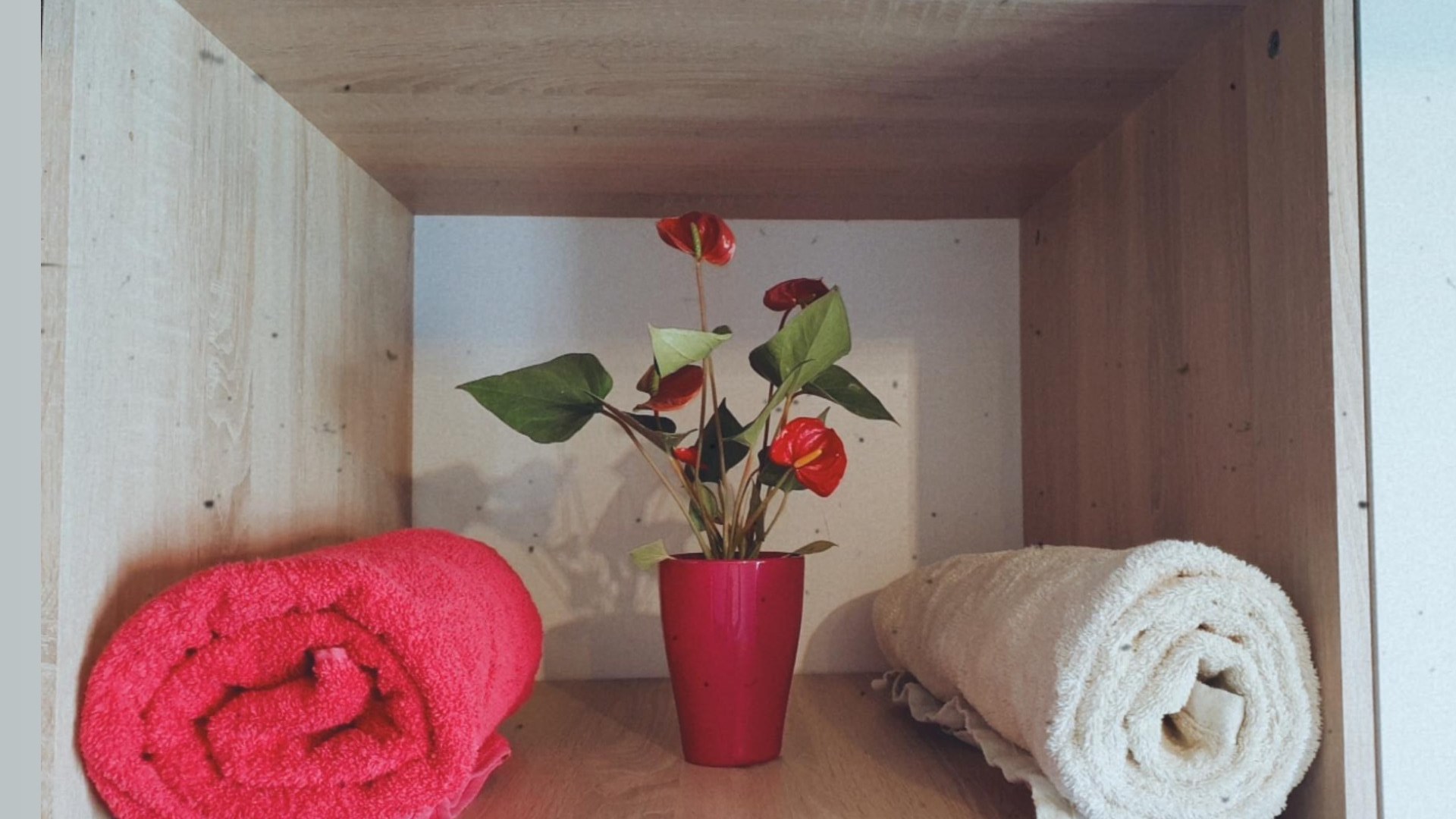 Monteurwohnung - Einzelbetten - Bayern - Handtücher - Bozhidar Georgiev